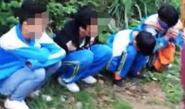 学员爆料被打视频真实,惨遭暴力对待，校园暴力事件引发社会关注