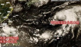 最新台风爆料新闻视频大全,视频大全揭示风雨肆虐下的惊心动魄