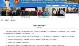 新西兰大使馆爆料视频,视频揭露不为人知的真相