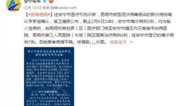 识时务者陈亚楠最新爆料,识时务者为俊杰，揭秘行业风云变幻
